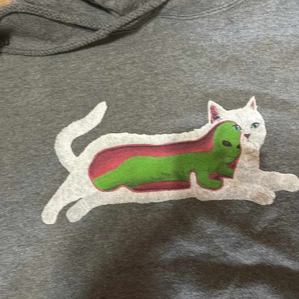 Ripndip Gray Hoodie with‎ Vibrant Cat Graphic